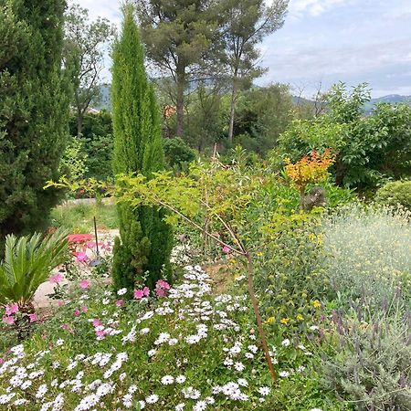 Haut De Villa Avec Terrasse Privative Jardin Et Parking Tout Pres Des Plages Toulon Exterior foto