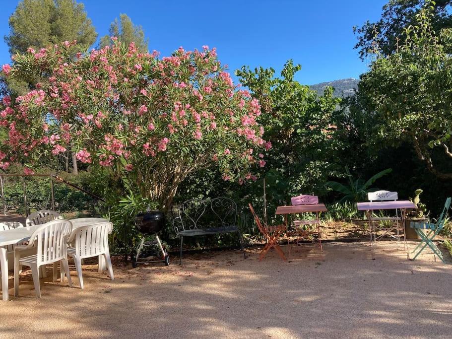 Haut De Villa Avec Terrasse Privative Jardin Et Parking Tout Pres Des Plages Toulon Exterior foto